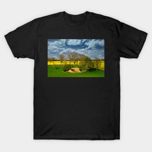 Fields, Trees and Cloudy Sky T-Shirt